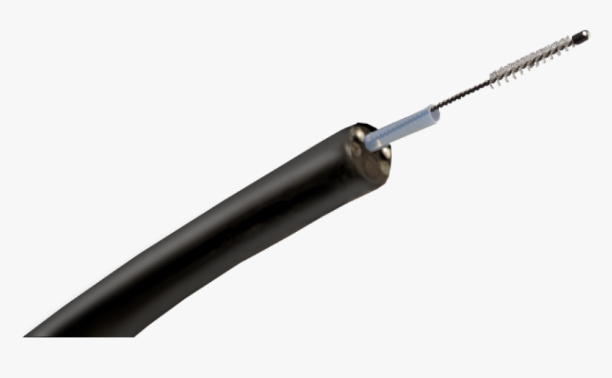 Wats 3d Brush Biopsy, HD Png Download