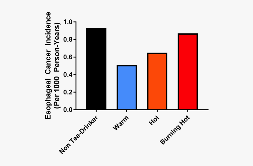 Endo Clip Esophageal - Cyp2e1 Expression In Liver Ccl4, HD Png Download