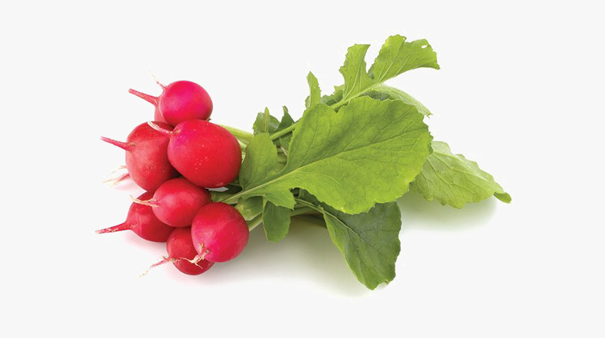 Radish Png Transparent - Bunched Radish, Png Download