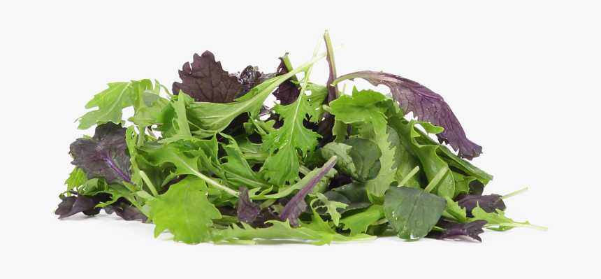 Organic Salad Mix, HD Png Download