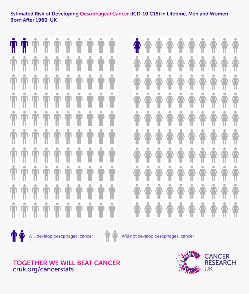 Esophageal Cancer Statistics Uk, HD Png Download