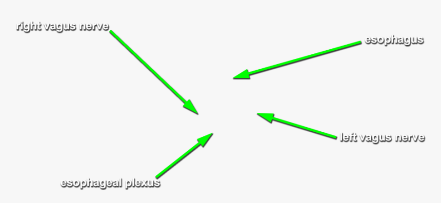 Diagram, HD Png Download