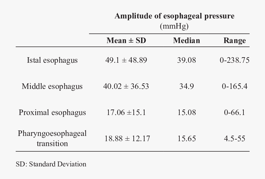 Screenshot, HD Png Download