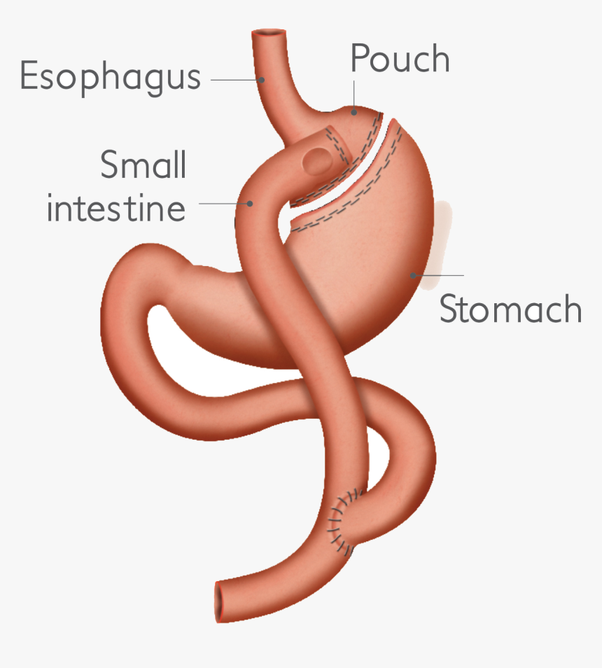 Clip Art, HD Png Download