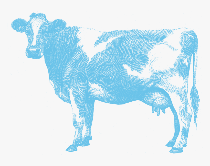 Transparent Dairy Cow Png - Aunt Jean's Dairy, Png Download
