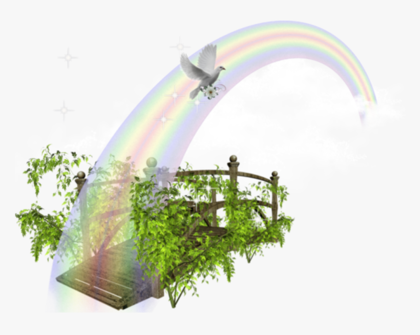 #ftestickers #fantasyart #bridge #rainbow #rainbowbridge - Décors Png, Transparent Png