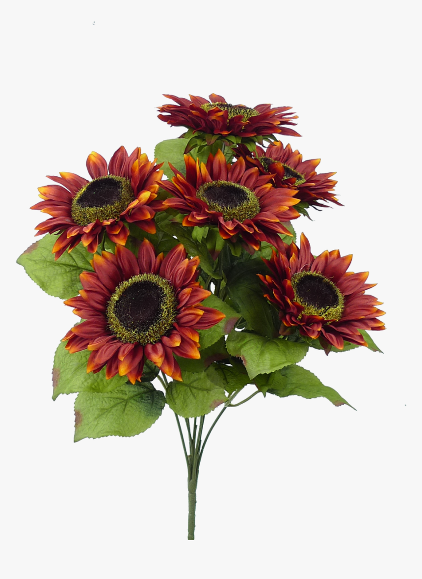 Burgundy, HD Png Download