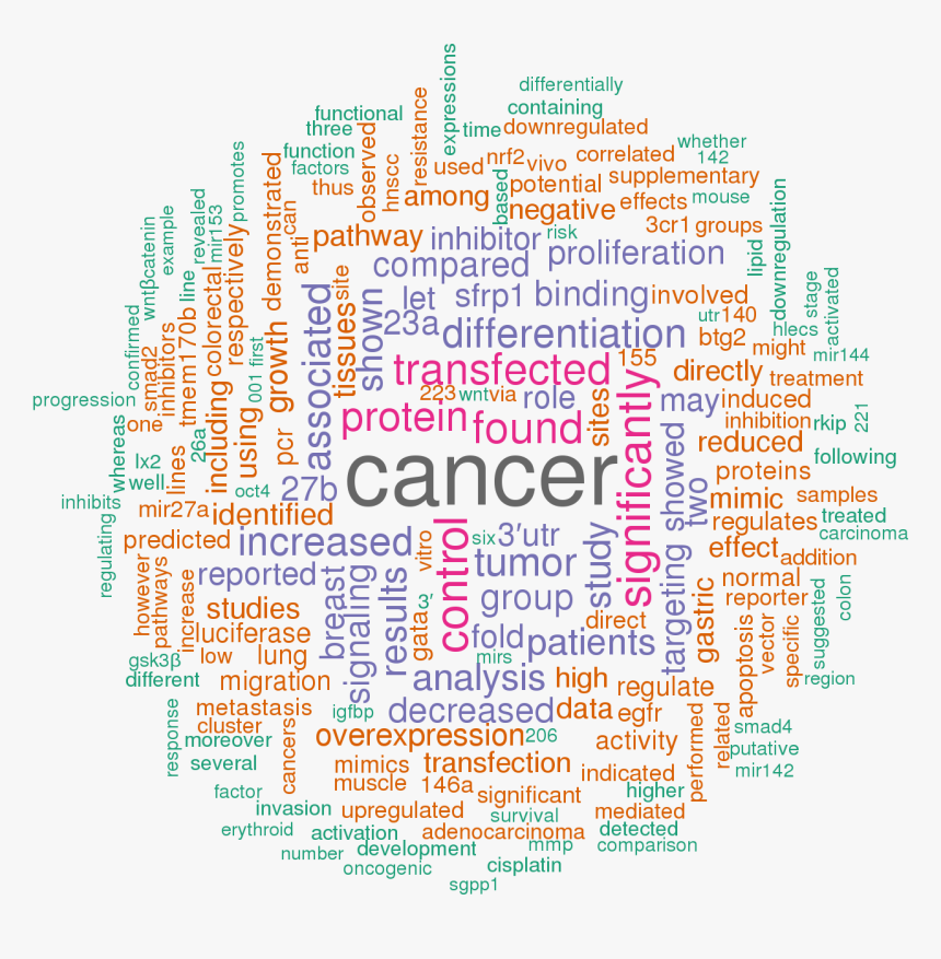 Hsa Mir 27a 3p, HD Png Download