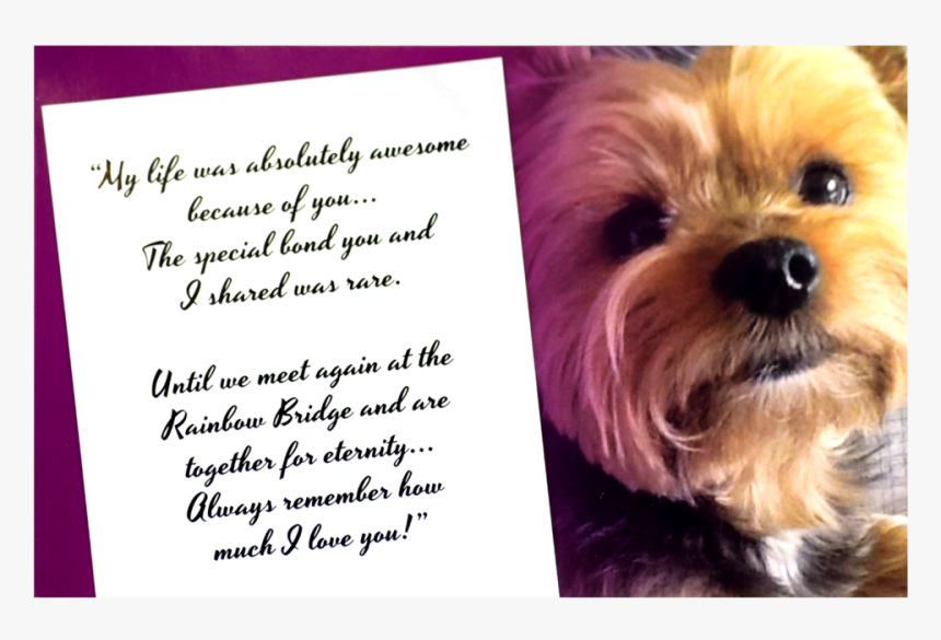 669799615552, HD Png Download