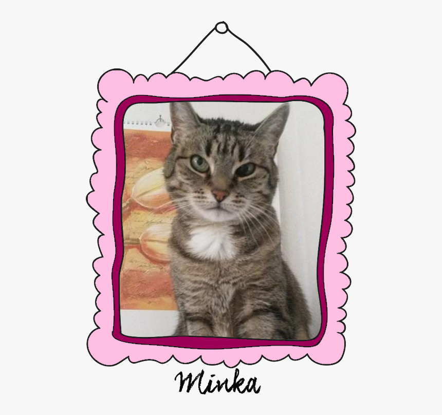 Dragon Li, HD Png Download