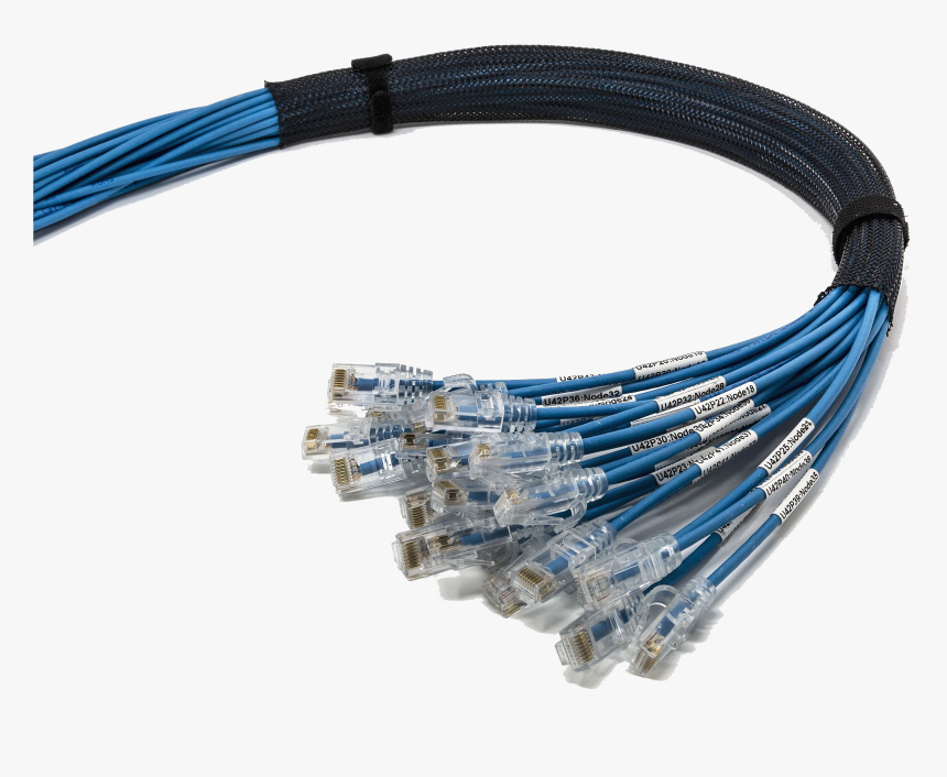 Image - Ethernet Cable, HD Png Download