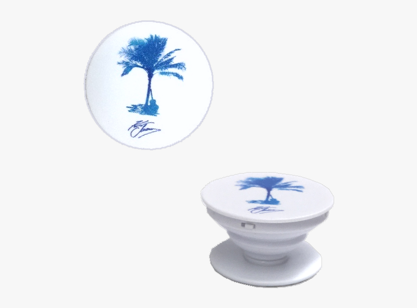 Kenny Chesney Palm Tree, HD Png Download