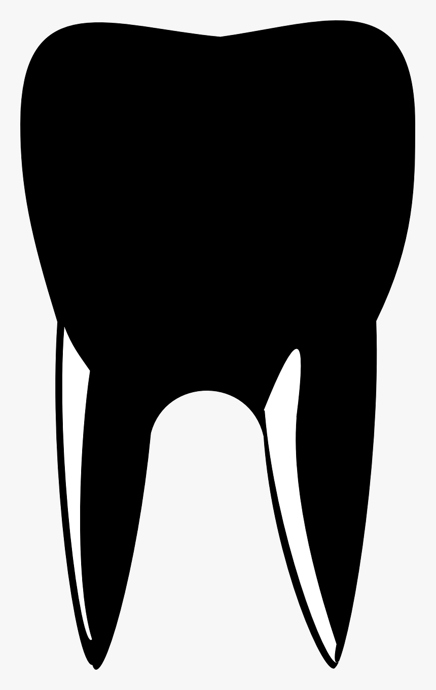 Silhueta Dente Png, Transparent Png