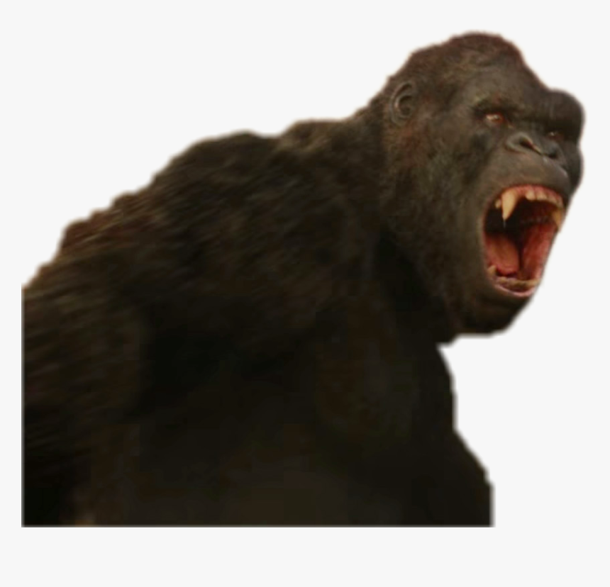 Kong Skull Island Png - Kong Skull Island Kong Png, Transparent Png