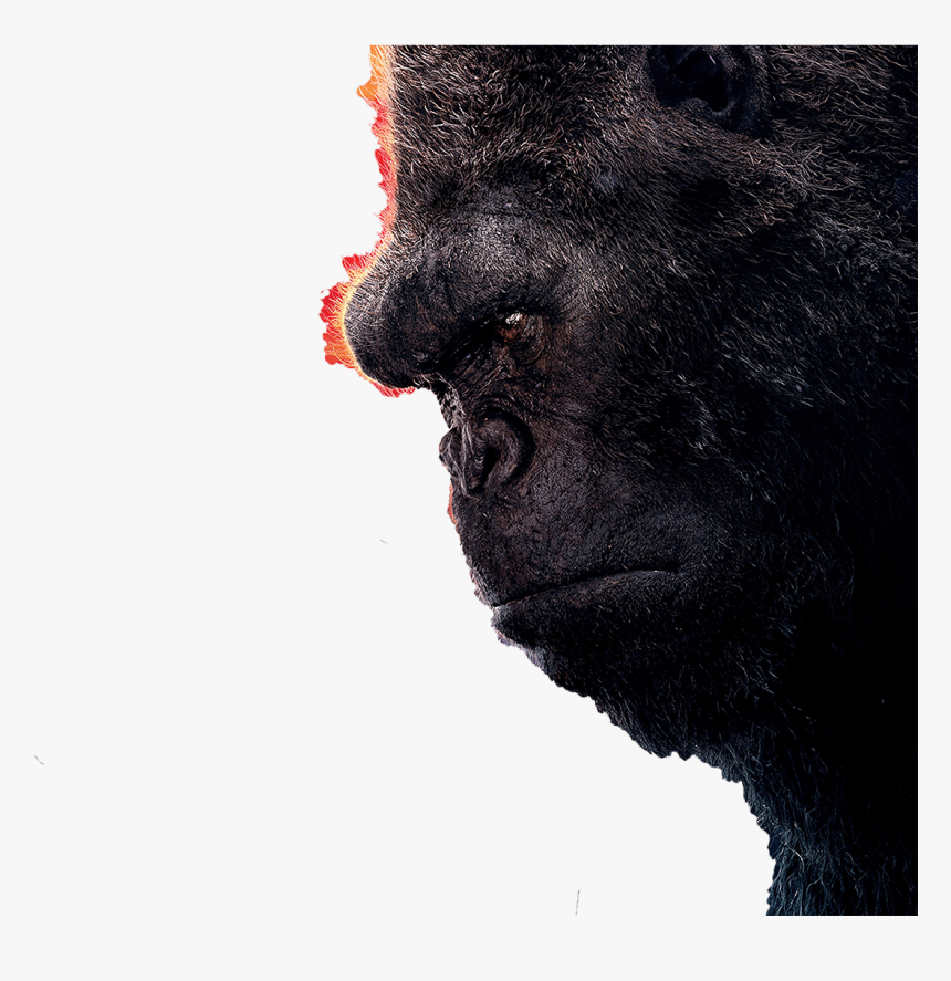 King Kong Fond D Écran - Kong: Skull Island, HD Png Download