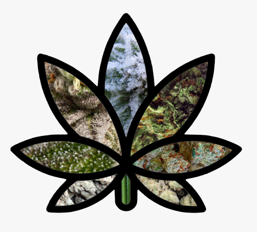 Weed Learn About The Stained Glass Art Pot Leaf, HD Png Download