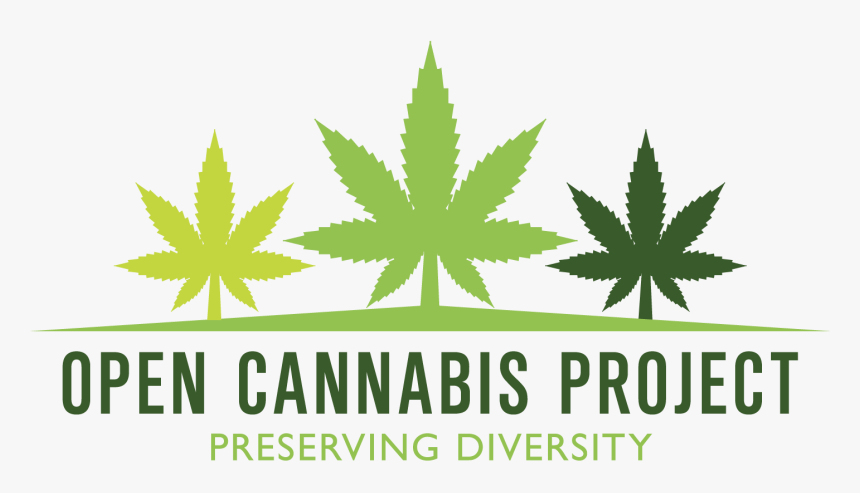 Png Logo Cannabis, Transparent Png