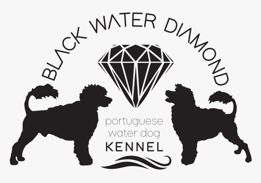 Companion Dog, HD Png Download