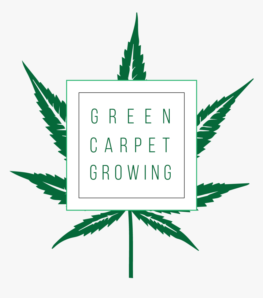 Does Marijuana Grow In Seychelles, HD Png Download