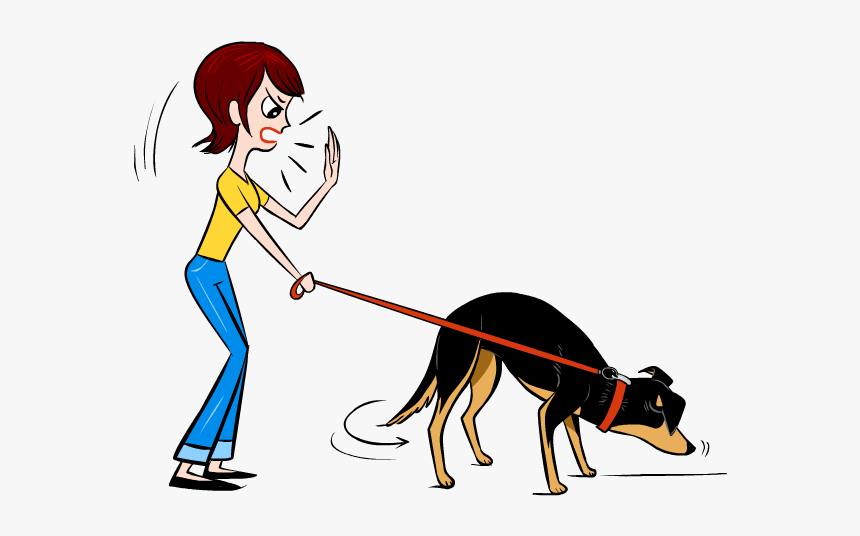 Dog Catches Something, HD Png Download