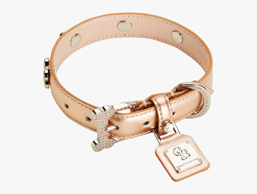 Rose Gold Metallic Dog Collar, HD Png Download